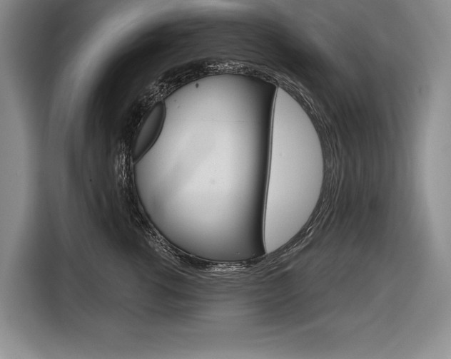 X0000116670762200912140945