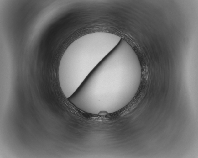 X0000116670763200912140945