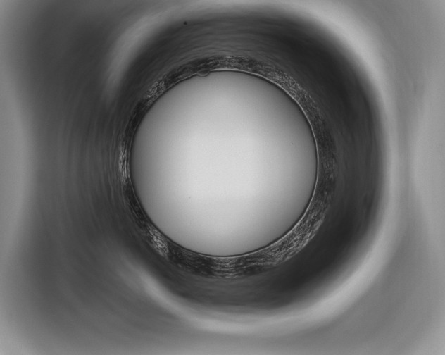 X0000116670766200912140945