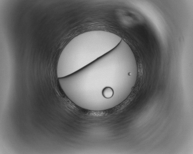 X0000116670767200912140945