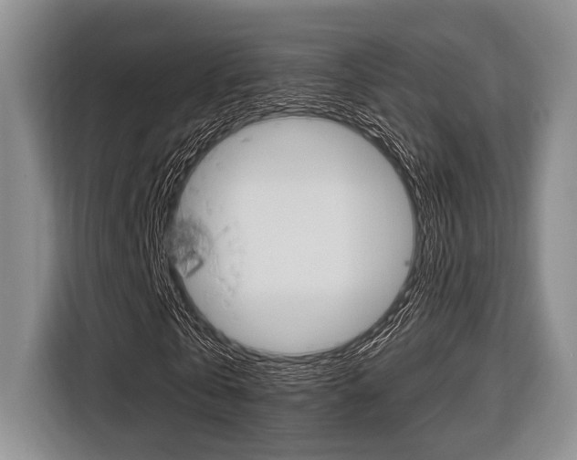 X0000116670769200912140944