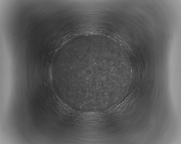 X0000116670770200912140944