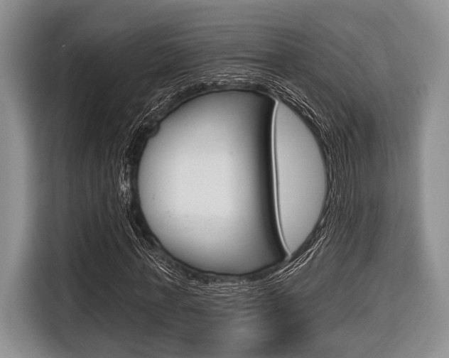 X0000116670771200912140944