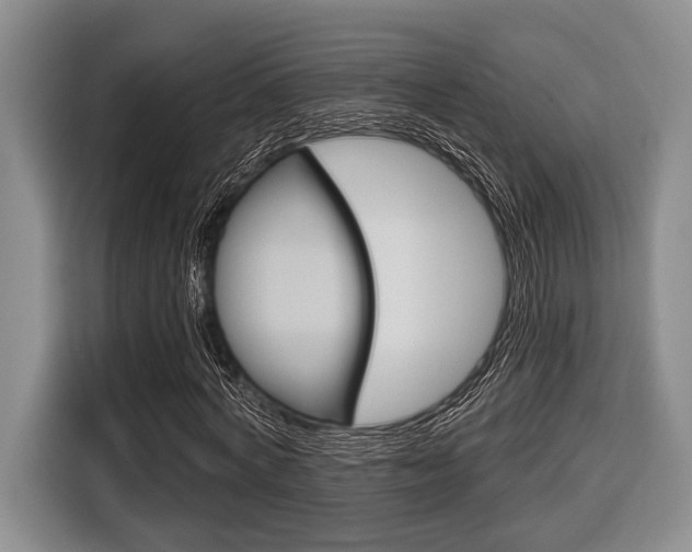 X0000116670772200912140944