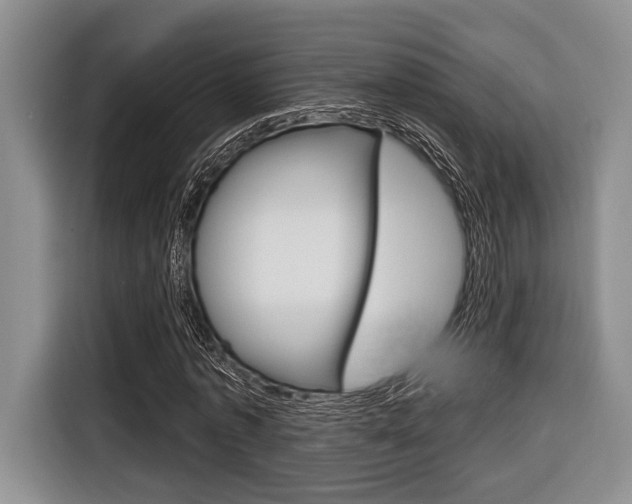 X0000116670773200912140944