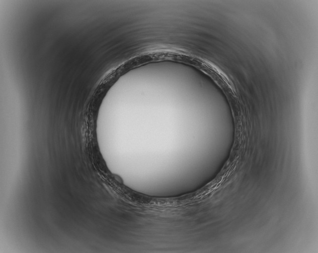X0000116670775200912140944