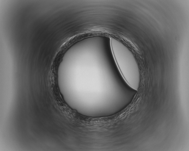 X0000116670776200912140944
