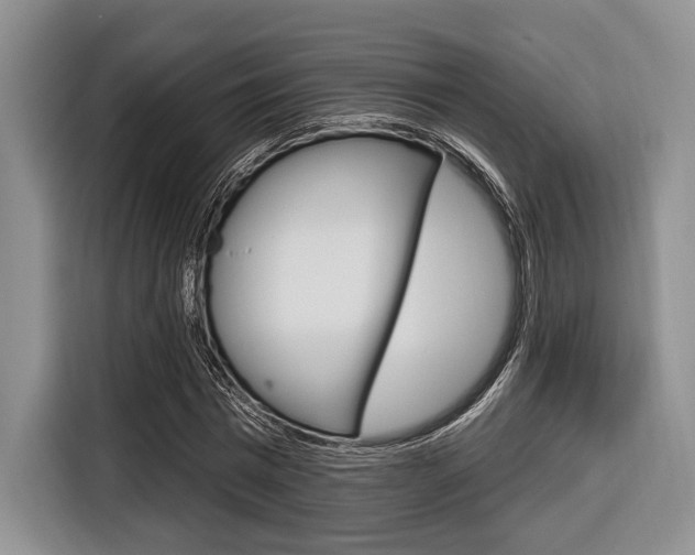 X0000116670777200912140944