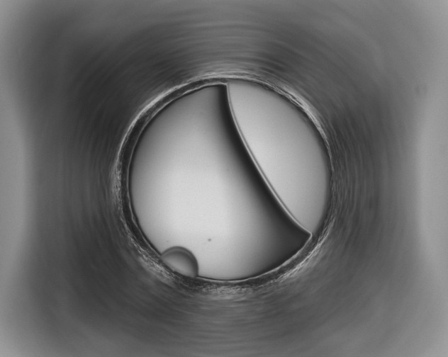 X0000116670779200912140944