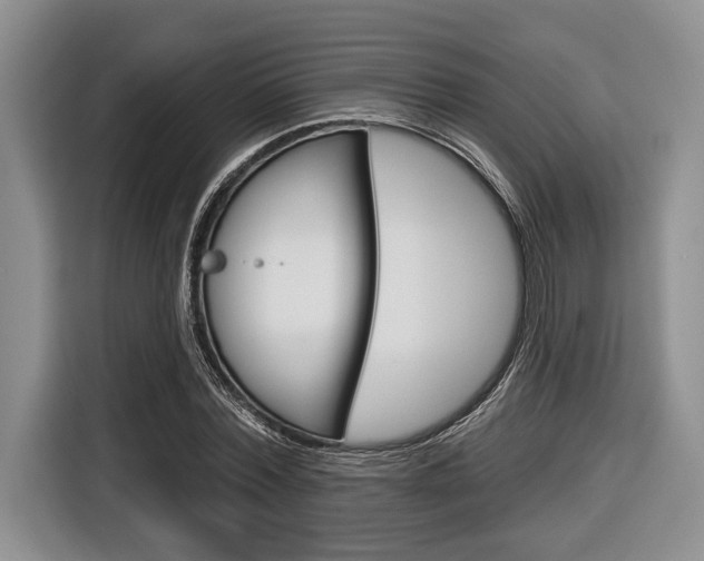 X0000116670780200912140944