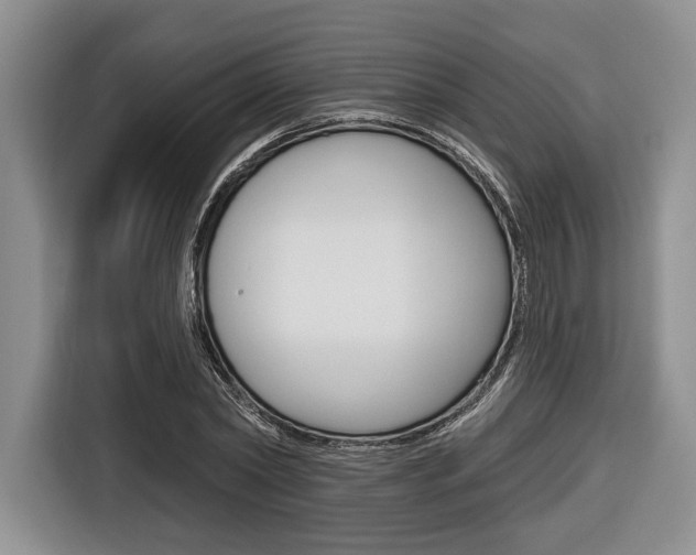 X0000116670782200912140944