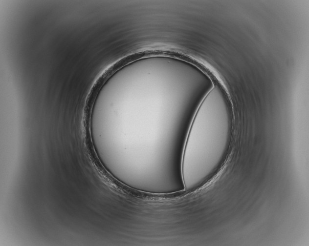 X0000116670783200912140944