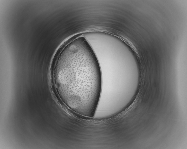 X0000116670784200912140944