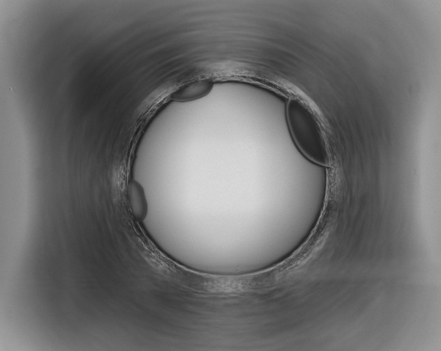 X0000116670785200912140944