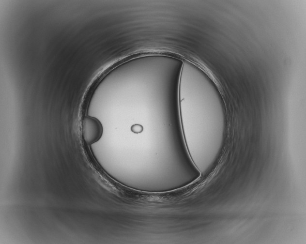 X0000116670787200912140944