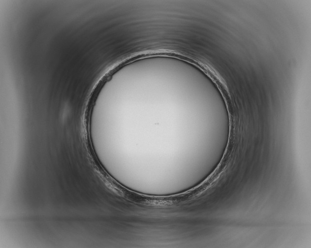 X0000116670789200912140944