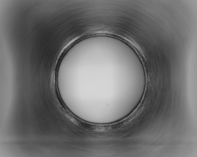 X0000116670790200912140944