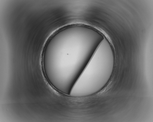 X0000116670799200912140944