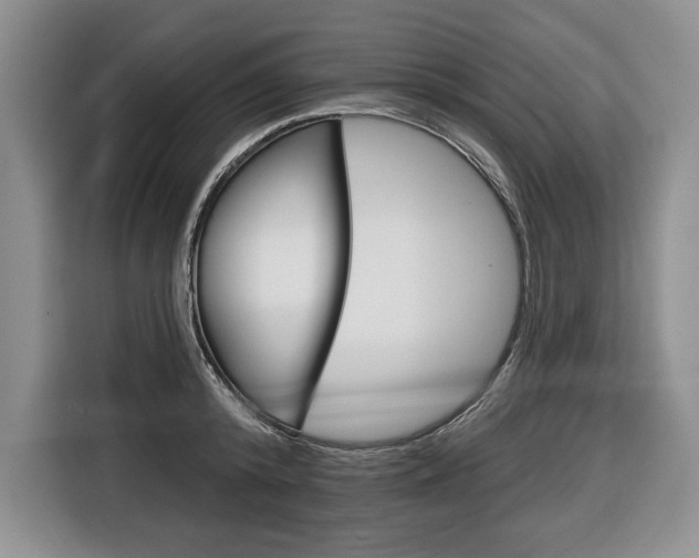 X0000116670800200912140944