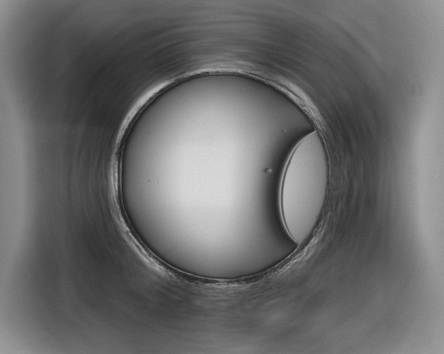 X0000116670804200912140944