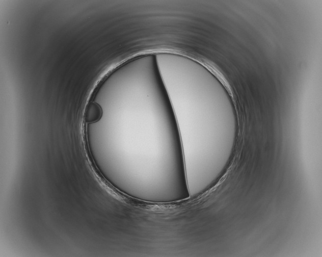 X0000116670805200912140944