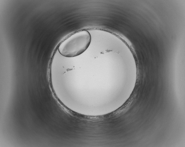 X0000116670807200912140944