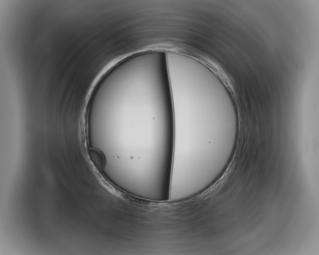 X0000116670808200912140944