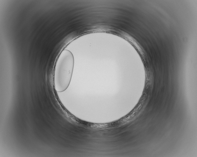 X0000116670810200912140944