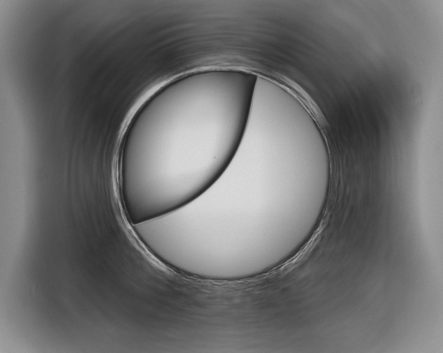 X0000116670812200912140944