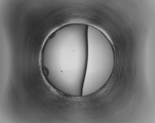 X0000116670815200912140944