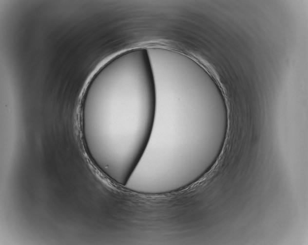 X0000116670816200912140944