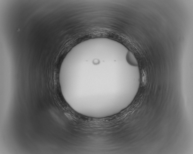 X0000116670819200912140943