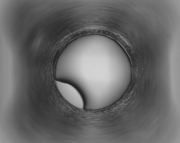 X0000116670821200912140943