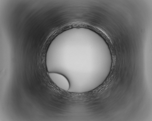 X0000116670823200912140943