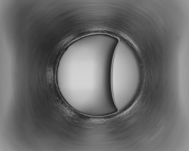 X0000116670825200912140943