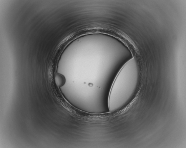 X0000116670826200912140943