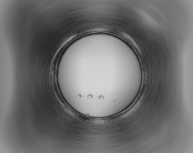X0000116670827200912140943