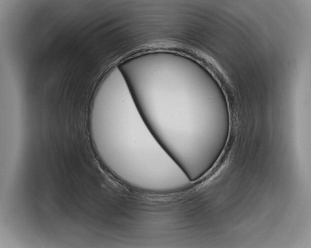 X0000116670833200912140943