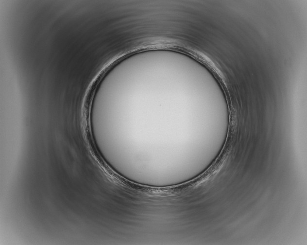 X0000116670835200912140943