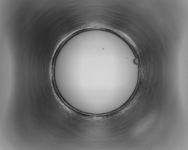 X0000116670839200912140944