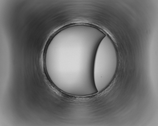X0000116670840200912140944