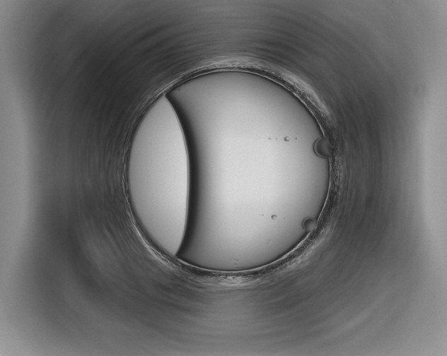 X0000116670841200912140944