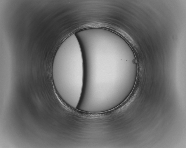 X0000116670849200912140944