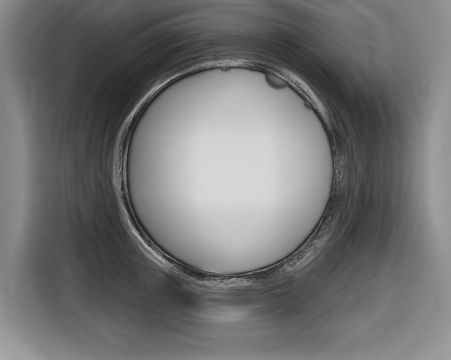 X0000116670851200912140944