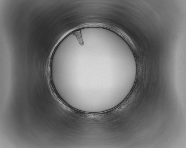 X0000116670852200912140944