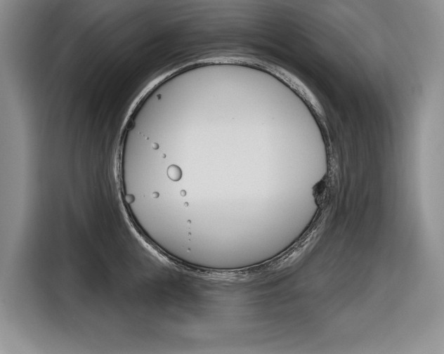 X0000116670855200912140944