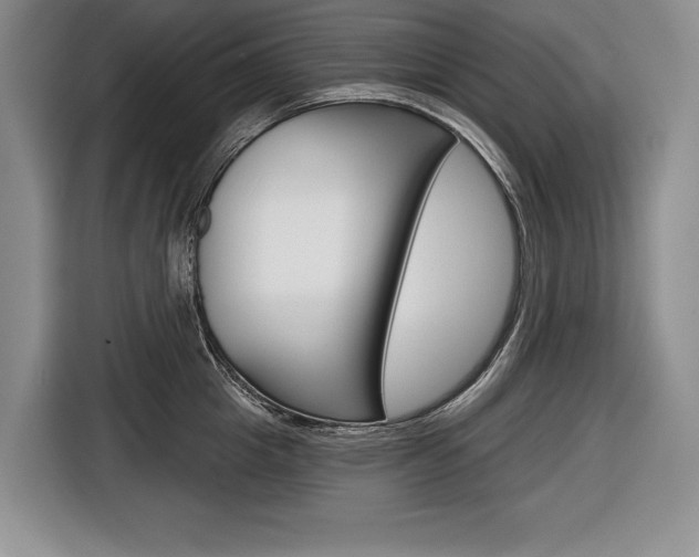 X0000116670857200912140944