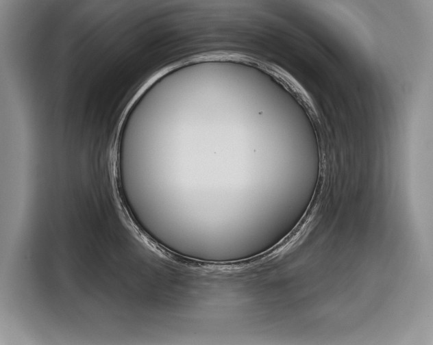 X0000116670860200912140944