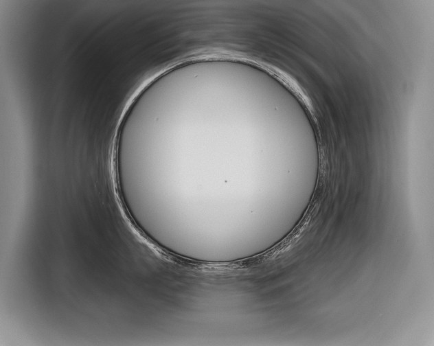 X0000116670863200912140944