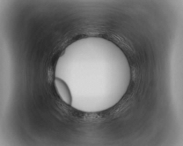 X0000116670866200912140943